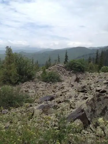 Aylu - 41