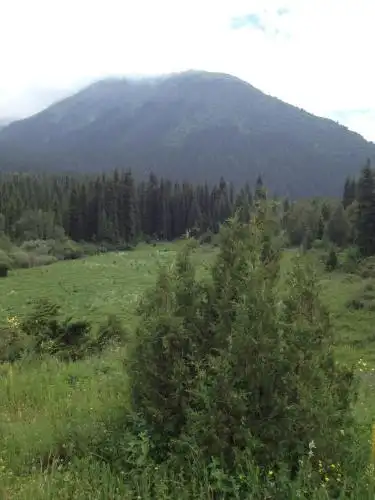 Aylu - 34