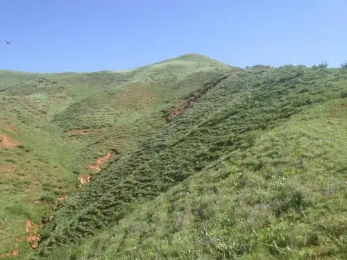 Aylu - 55