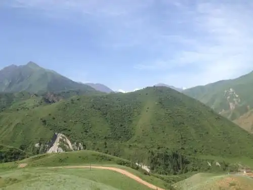 Aylu - 54