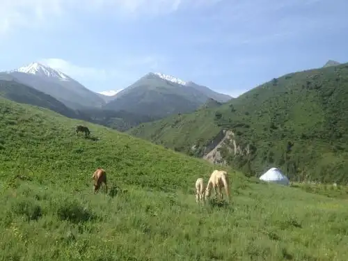 Aylu - 51