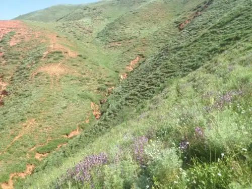 Aylu - 52