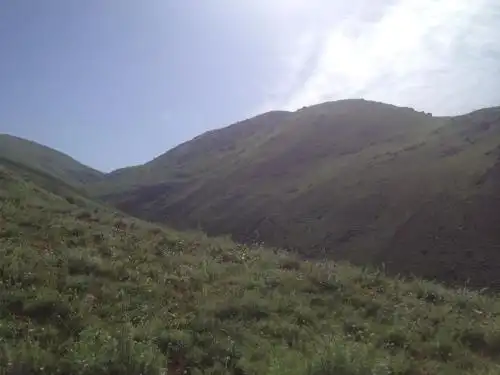 Aylu - 56