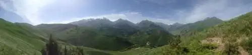 Aylu - 60