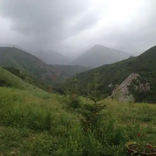 Aylu - 26