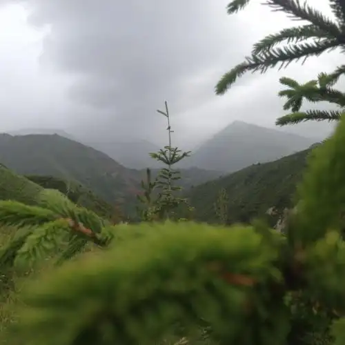 Aylu - 28