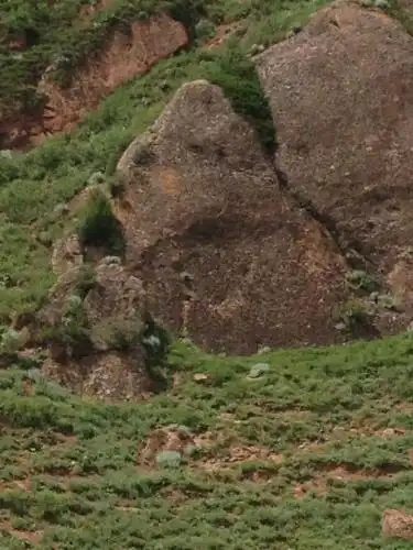 Aylu - 29