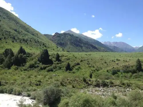 Aylu - 25
