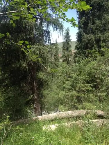 Aylu - 18
