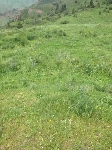 Aylu - 12