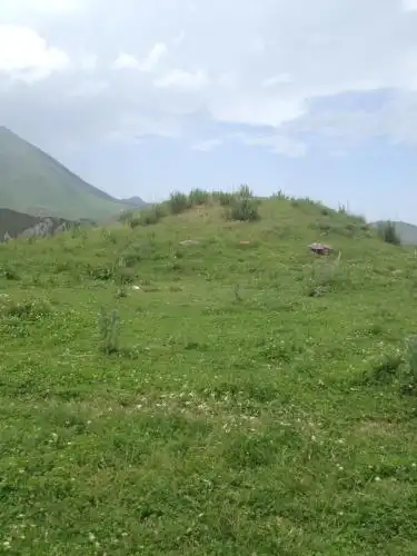 Aylu - 14