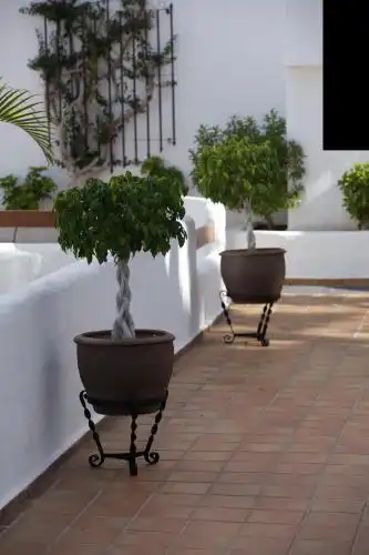 Beverly Hills Suites - Excels & Resorts - 16