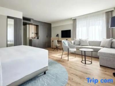 Swissotel Le Plaza Basel City - 75