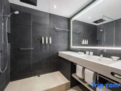 Swissotel Le Plaza Basel City - 81