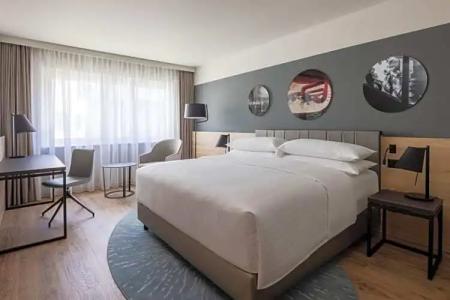 Swissotel Le Plaza Basel City - 102