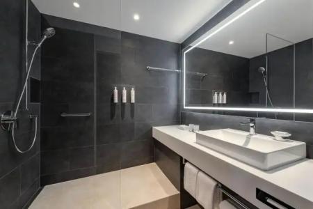 Swissotel Le Plaza Basel City - 30