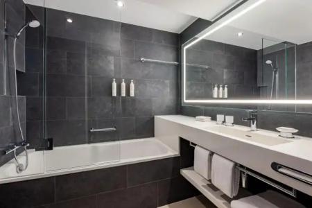 Swissotel Le Plaza Basel City - 31