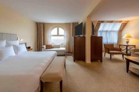 Swissotel Le Plaza Basel City - 72