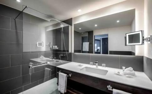 Swissotel Le Plaza Basel City - 8