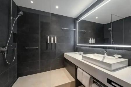 Swissotel Le Plaza Basel City - 86