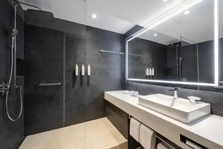Swissotel Le Plaza Basel City - 33
