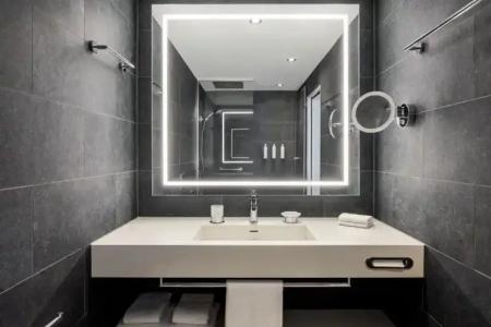 Swissotel Le Plaza Basel City - 9