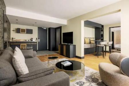 Swissotel Le Plaza Basel City - 104