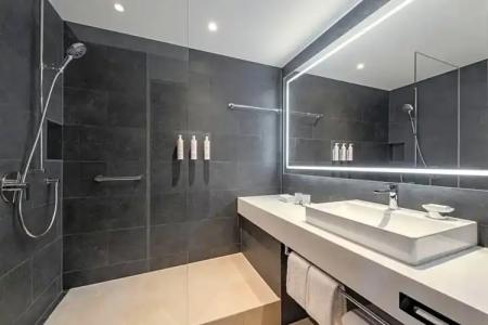 Swissotel Le Plaza Basel City - 67