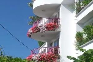 Guesthouse «Jana», Поморие