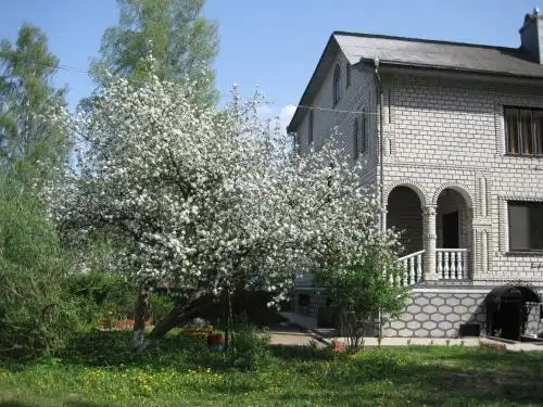 Василиса - 17