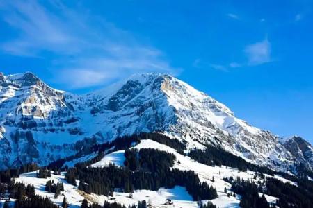 Boutique Chalet-Beau-Site - 32