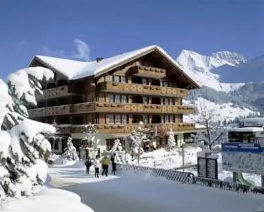 Adler Adelboden - 19