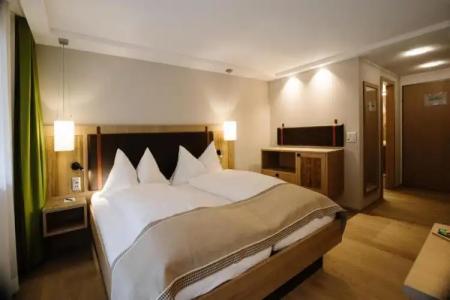 Adler Adelboden - 33