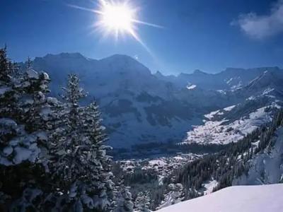 Adler Adelboden - 20