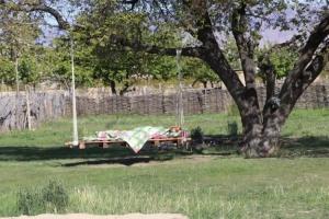 Jurten Camp Almaluu, Тон