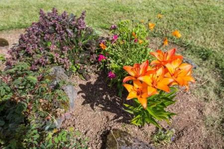 Kvöldstjarnan Gistiheimili - 38