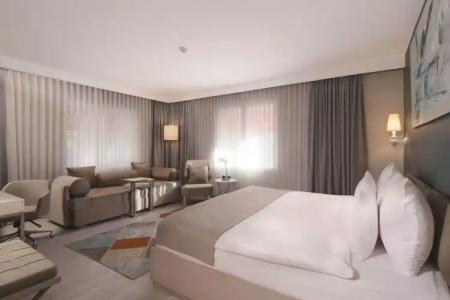 The Gate 30 Suites - 104