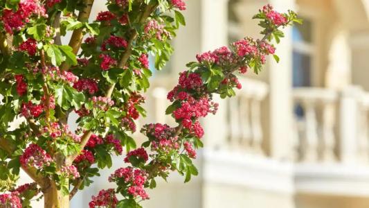 Усадьба Превысоковъ - 49