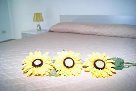 b&b Isole Dello Stagnone - 25