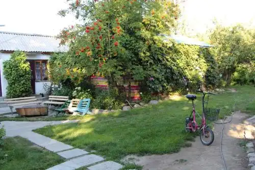 Tamga Bee House - 0
