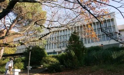 Чемитоквадже - 26