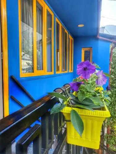 Four Seasons Borjomi - 6