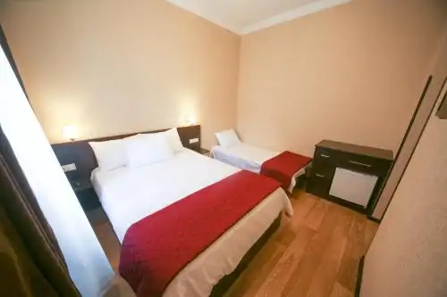 Four Seasons Borjomi - 21