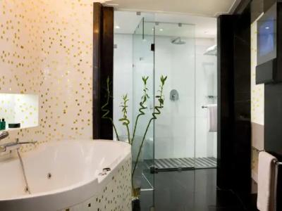 Sofitel Cairo Nile El Gezirah - 46