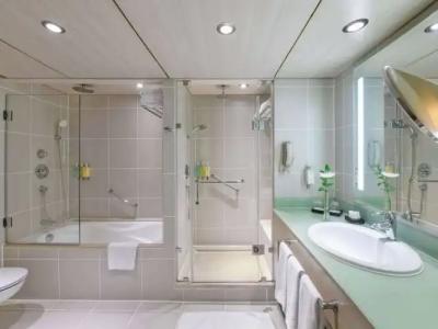 Sofitel Cairo Nile El Gezirah - 105