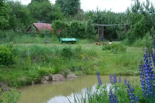 Усадьба «Лесные дали - 8