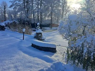 Трактир Зеркальный карп - 15