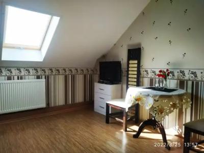 Трактир Зеркальный карп - 17