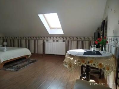 Трактир Зеркальный карп - 14