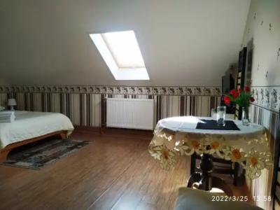 Трактир Зеркальный карп - 16